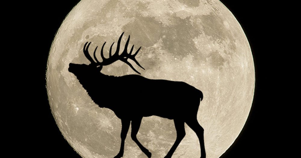 MoonPhases MoonPhases