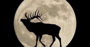 MoonPhases