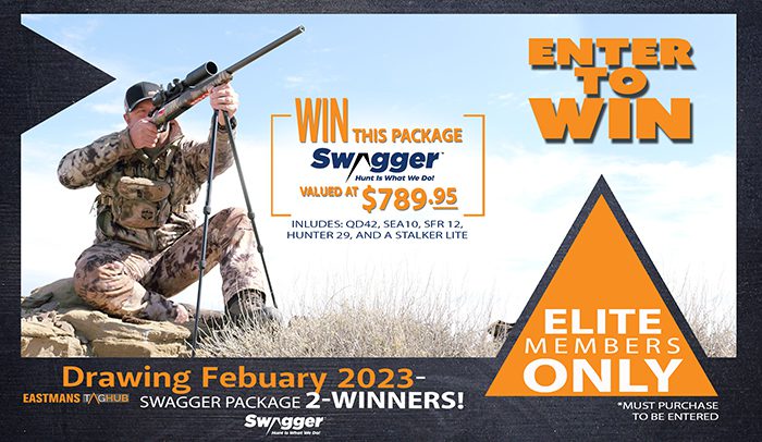 Tag Hub FEB giveaway 2 23_sm