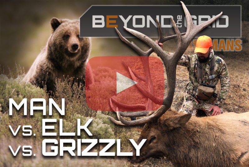 You Tube Brandon Elk VS Grizzly