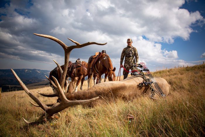 Dan Pickar Wyoming Elk