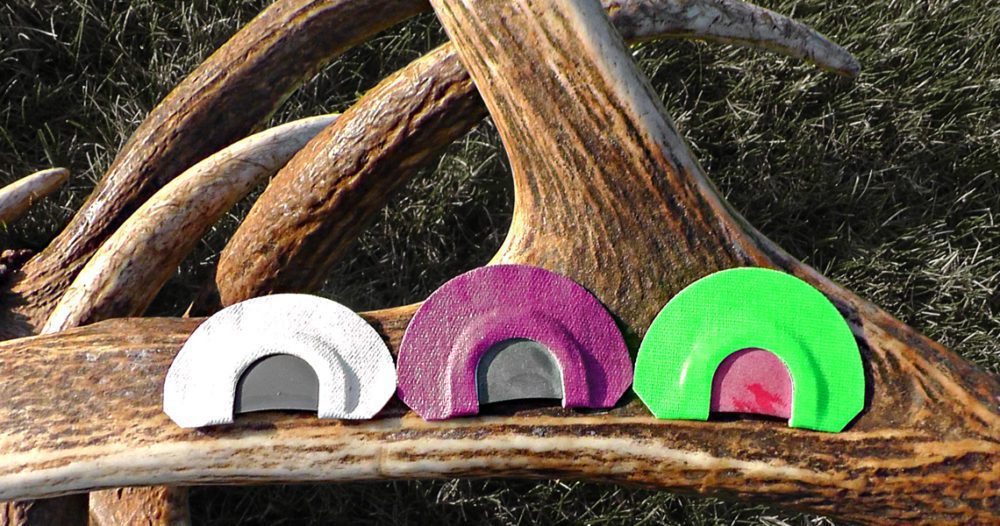 Calling Mature Bulls in September