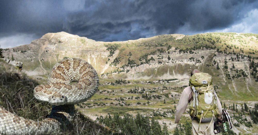 Backcountry and snakes