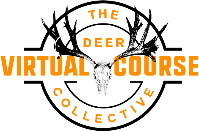 Deer-Collective_Virtual-Course_Black