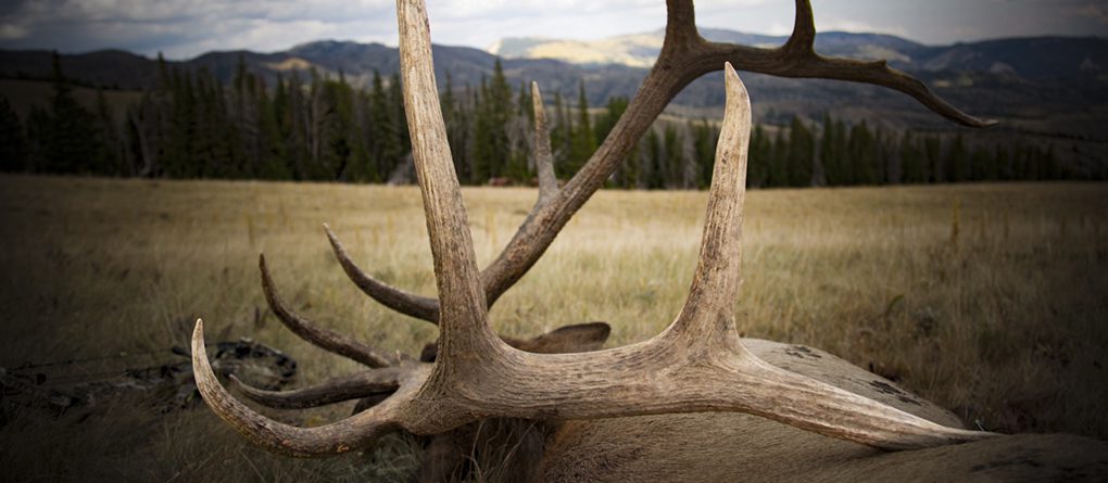 untitled shoot-1254_sm1