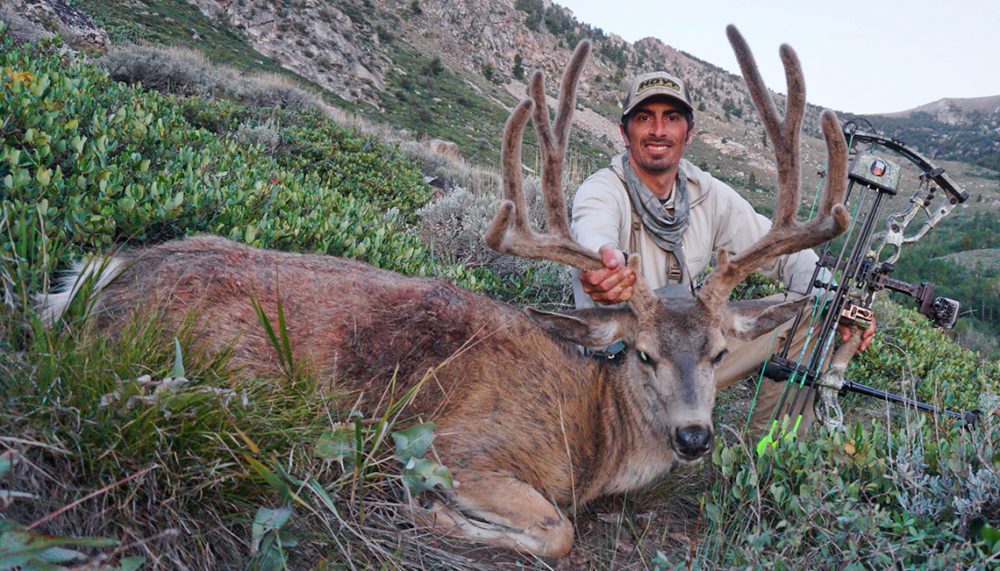 12 my 2014 nevada muley. The highlight of my season was executing a perfect shot on this buck_finaledit