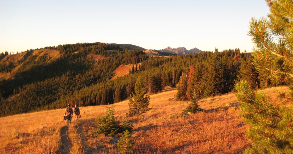 Hunters walking in wilderness
