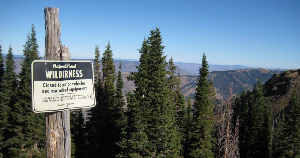 National Forest Wilderness Sign