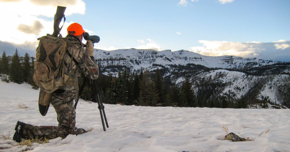 Guy looking out over wilderness