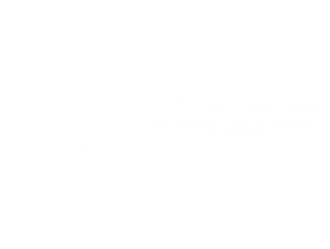 StoneGlacier_whiteLogopng