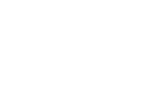 Vortex_logo_white