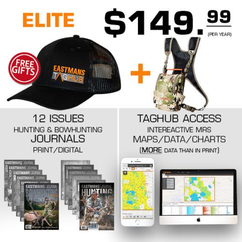 Bino harness Elite