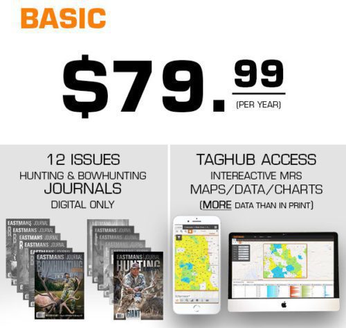 taghub Basic offer 12 20 2