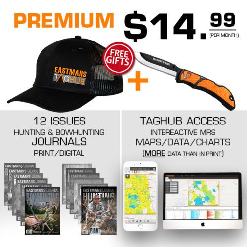 taghub Premium offer 12 20 1
