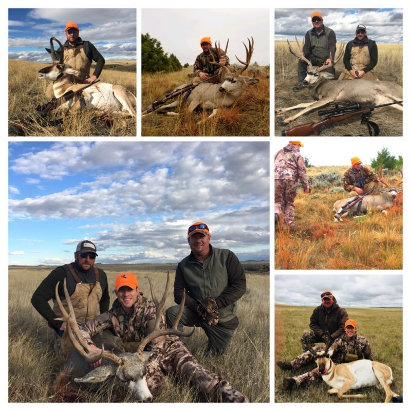 Andrew DeLaney-ANT/MD-WY-GD-PV