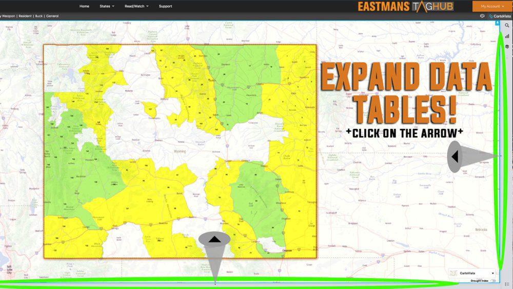 DATA_TABLES_EXPAND