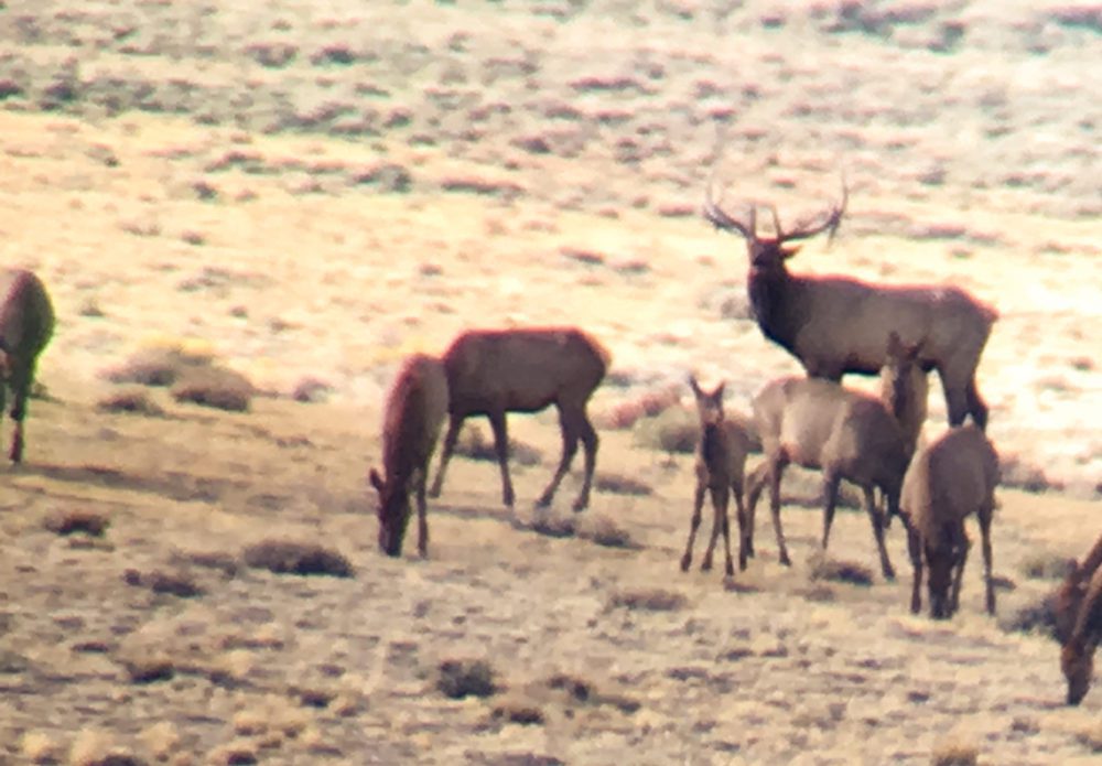 Brian Turner-ELK-CO-DIY-PL