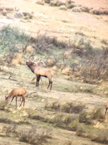 Brian Turner-ELK-CO-DIY-PL