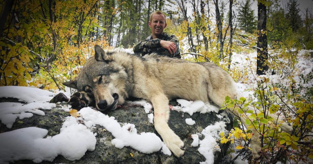 Tom Schneider-Wolf