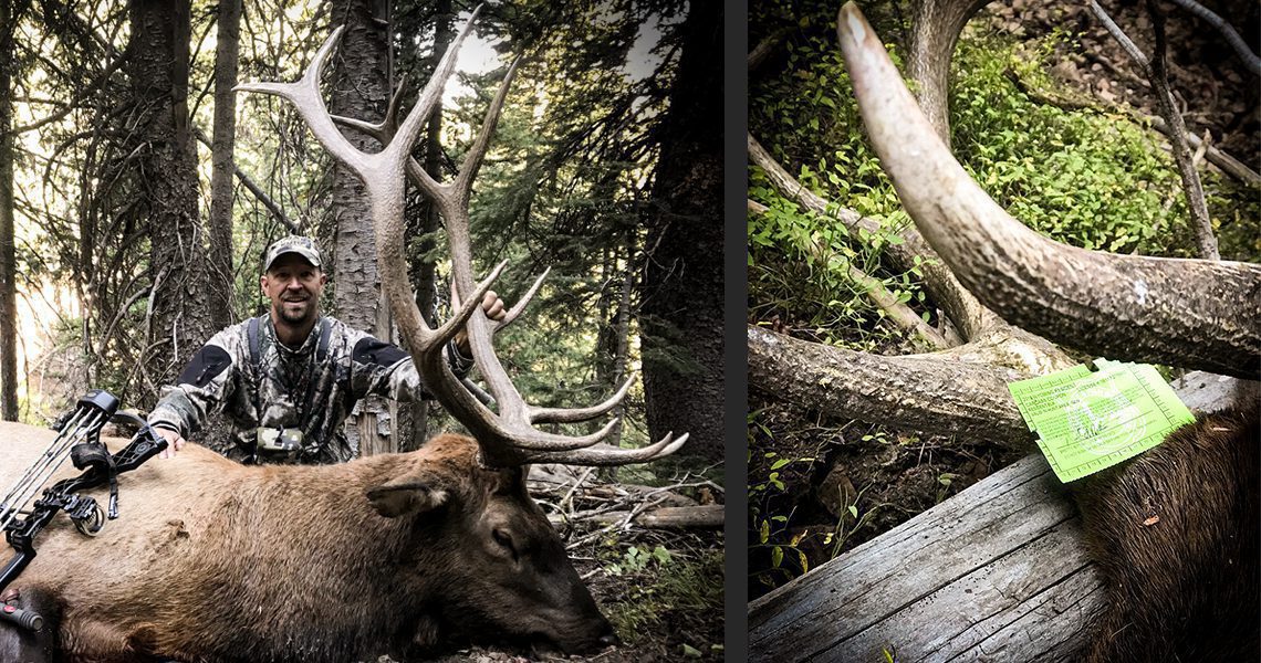 022221_Brett Ritter-ELK-EY-DIY-PL Brett Ritter-ELK-EY-DIY-PL