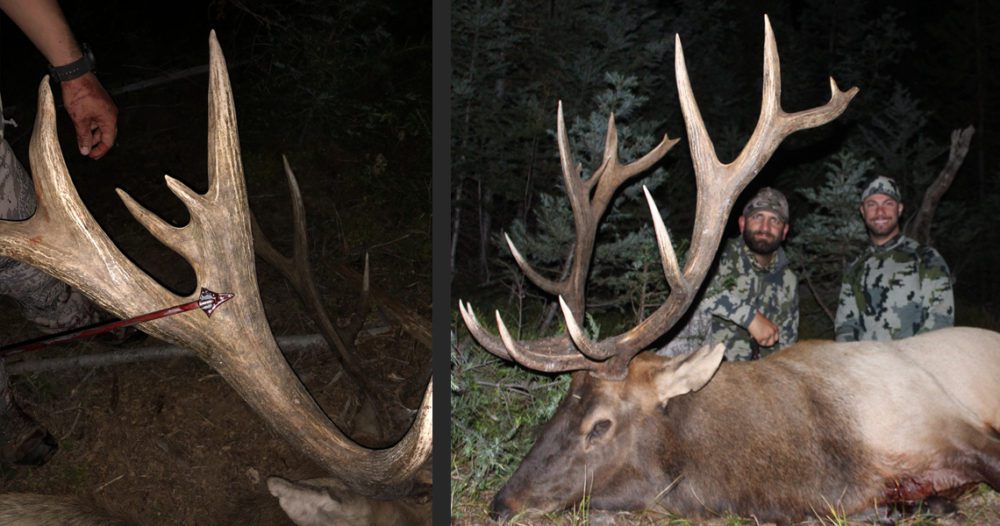Anthony Ortmayer-ELK-OR-DIY-PL Anthony Ortmayer-ELK-OR-DIY-PL