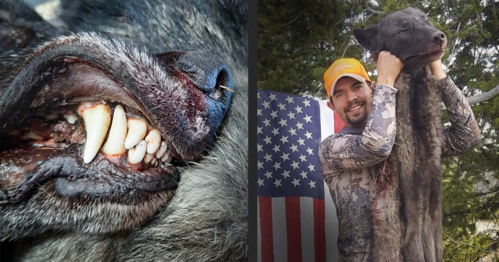 Blaise Allen-Wolf-WY-DIY-PL