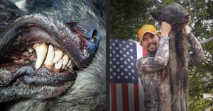 Blaise Allen-Wolf-WY-DIY-PL