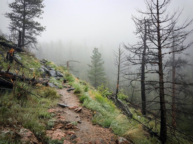 BrandonGrebe_early summer hike