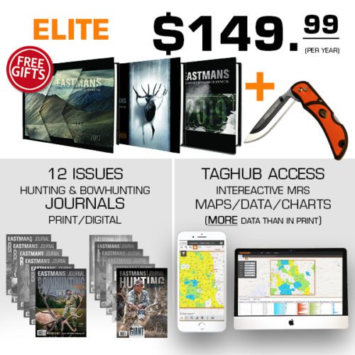 taghub Premium offer 2 26 21