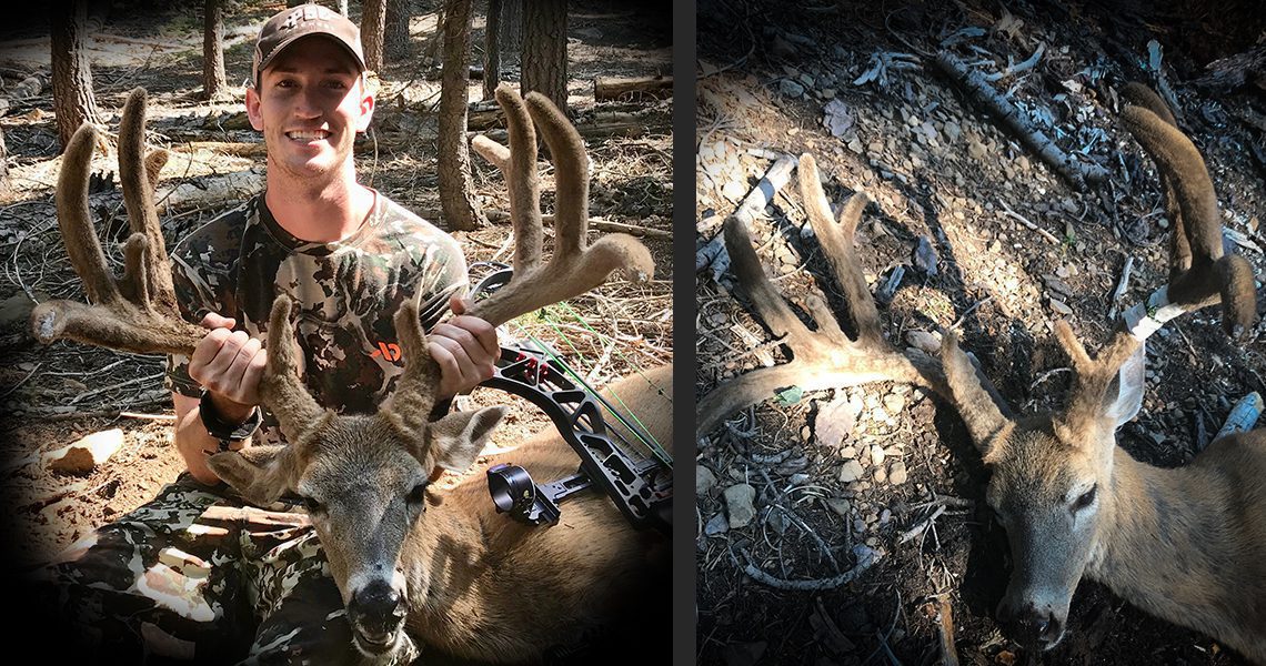 032221_Cade Tropila-BLKTL-CA-DIY-PL Cade Tropila-BLKTL-CA-DIY-PL