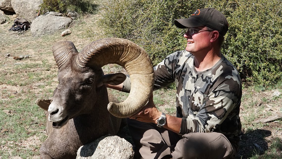 CODY GRAY Colorado Big Horn Sheep