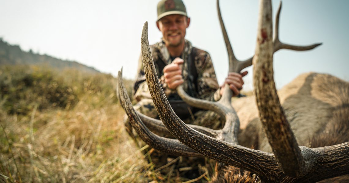 Dan-Pickar-Elk Dan-Pickar-Elk