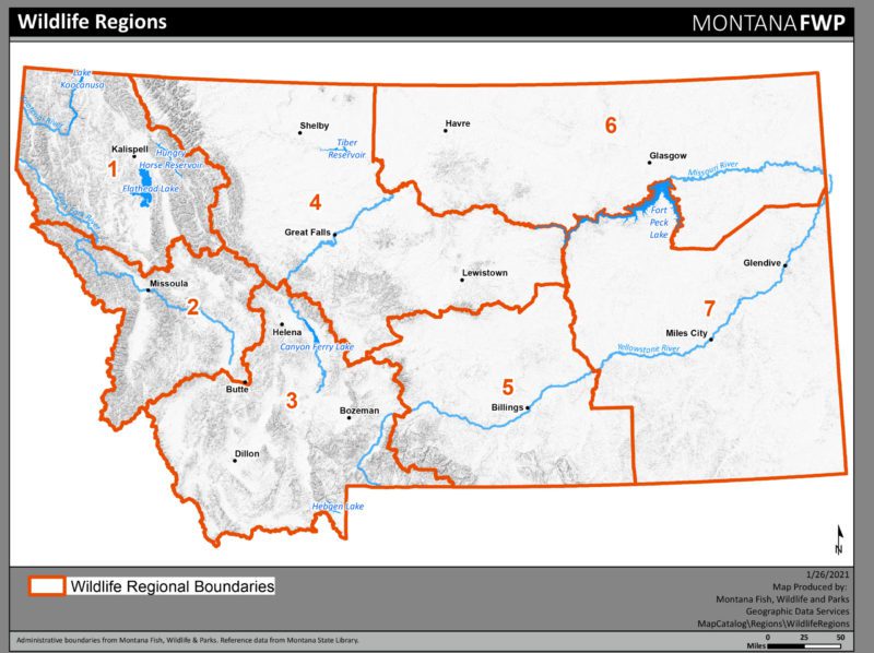 MT_WildlifeRegions_2020_Region_Full