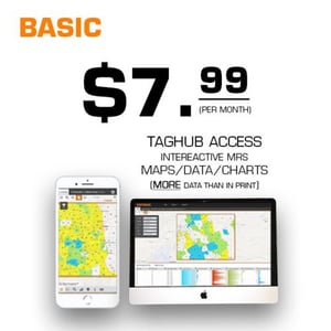 TagHub Membership | Buy Now! (Free Trial) - Basic Monthly