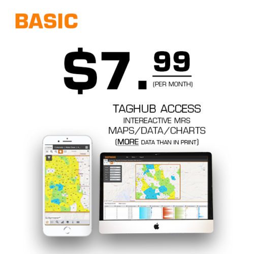 Taghub Basic MONTHLY 5 21