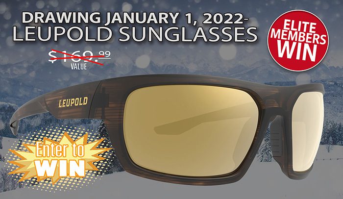 TagHub DEC 2021 Giveaway