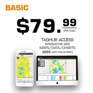 taghub Basic offer