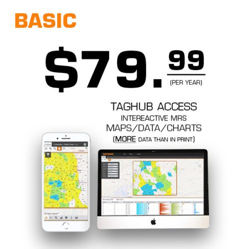 taghub Basic offer