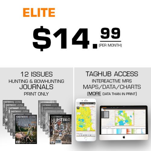 taghub-Elite-offer-12-20