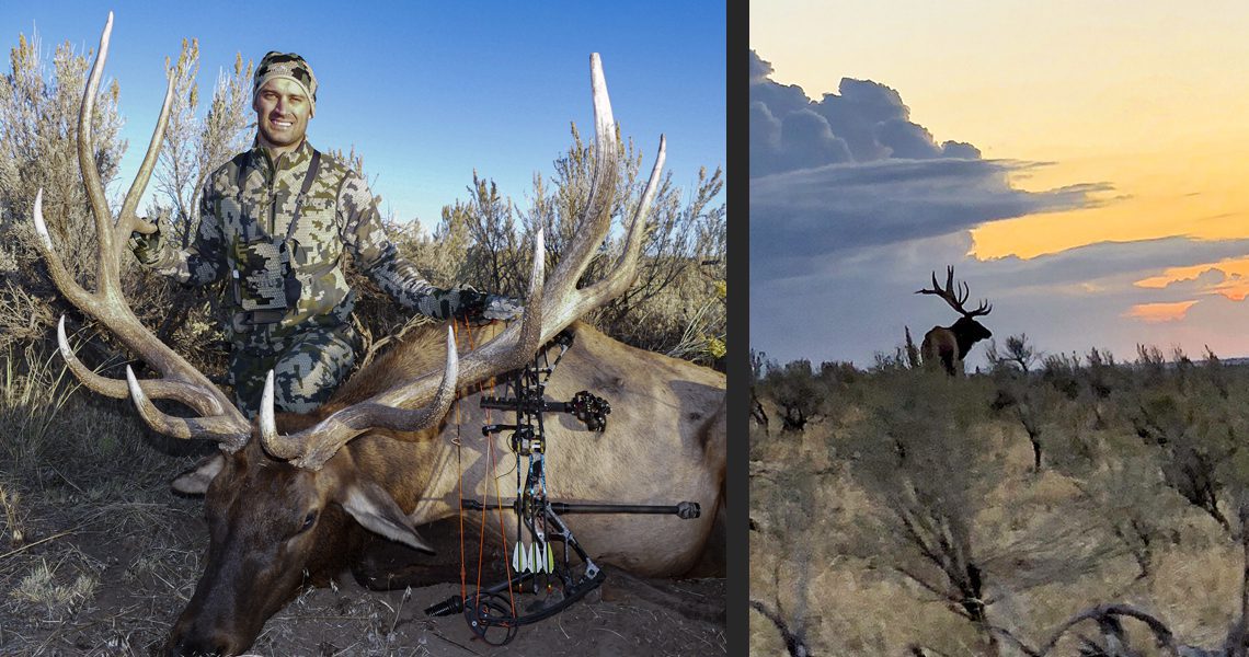 051021_Michael Hart-ELK-ID-GD-PV 051021_Michael Hart-ELK-ID-GD-PV