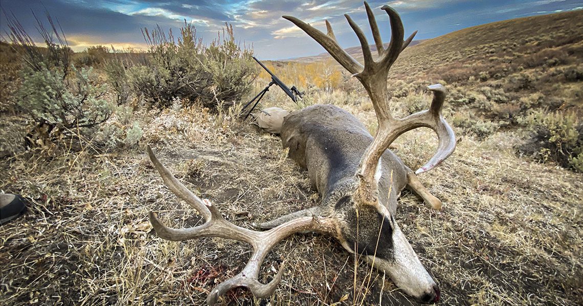 Blog_Top_Deer_Picks