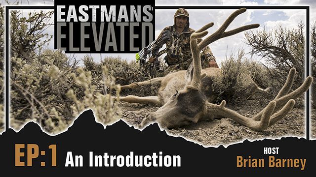 EastmansElevated_Thumbnail