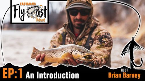 EastmansFlyCast_