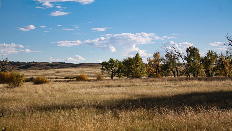 071921_Steven Huettner-MD-WY-DIY-PV_001