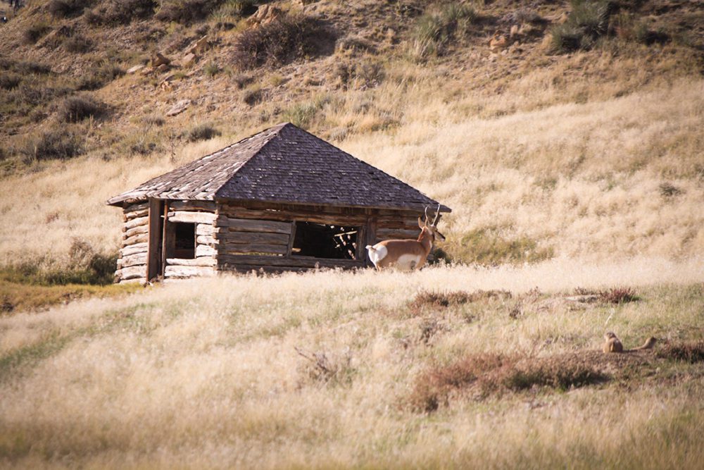 071921_Steven Huettner-MD-WY-DIY-PV_006