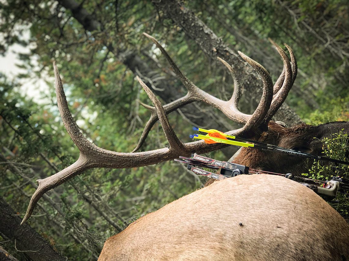071921_Thomas Diesing-ELK-CO-DIY-PL_006