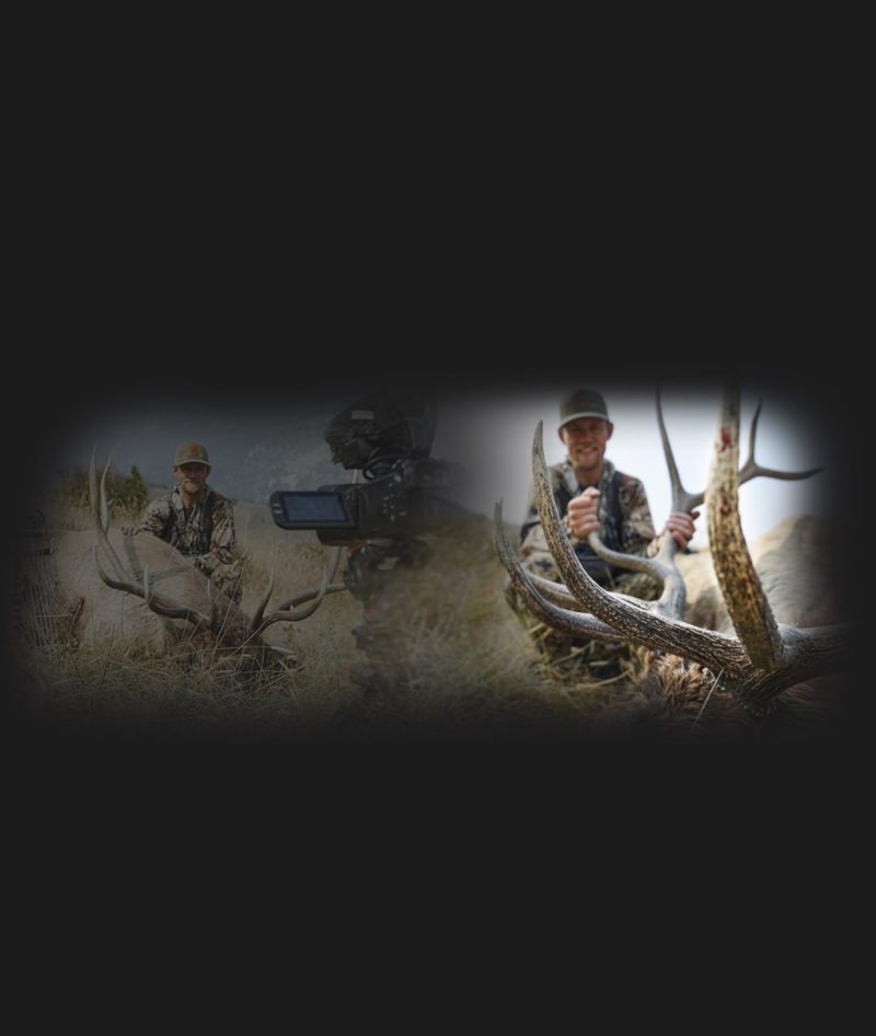 3_WatchNow_Dan_WY_Elk_2020_Mobile