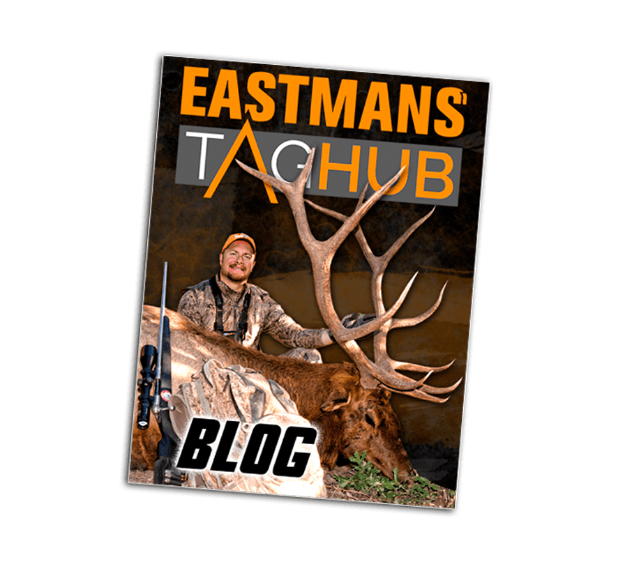 Blog copy