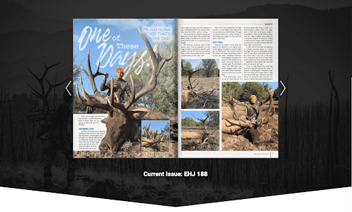 Digital Mag Image