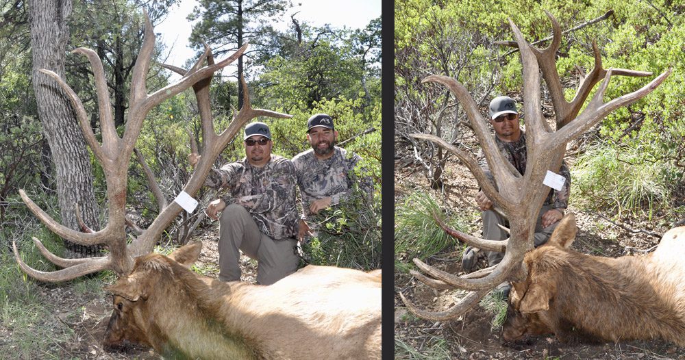082321_Brady Bryce-ELK-AZ-GD-PL 082321_Brady Bryce-ELK-AZ-GD-PL